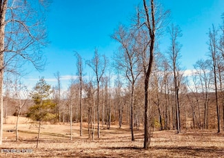 0 Emerald Cove Way Unit 1303938, Maynardville, TN 37807
