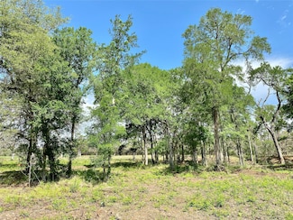1365 Fm 2104, Smithville, TX 78957
