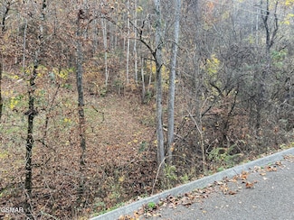 Lot 6 Pulaski Ln, Sevierville, TN 37862