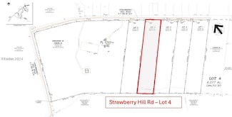 734 Strawberry Hill Rd Unit Lot 4, Ridgeland, SC 29936