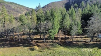 240 Oak Ranch Dr, Lewiston, CA 96052