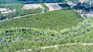 XX1 Turkey Creek Rd, Bristol, FL 32321
