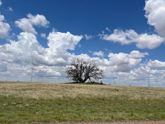 000 Round Top Rd, Snyder, TX 79549