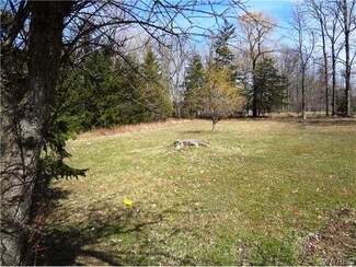 VL Alsace Place, Hamburg, NY 14219