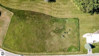 1017 Birdie Dr, Lake Isabella, MI 48893