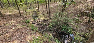 232 Derringer Place, Fountain Lake, AR 71901
