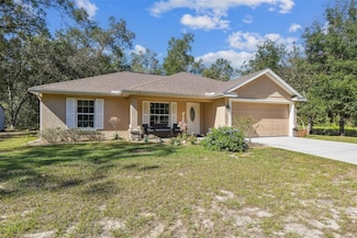 10005 N Ocean Dr, Citrus Springs, FL 34434