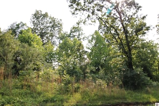 00 Paddle Wheel Rd Unit Lot 3, Gilbertsville, KY 42044