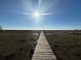 0 Hammocks Way Unit 24019575, Edisto Island, SC 29438