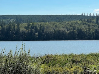9999 Snow Creek Way E, Quilcene, WA 98376