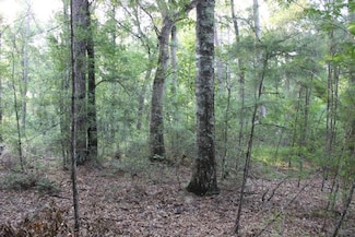 0 Gordon Jones Dr, Hammond, LA 70401