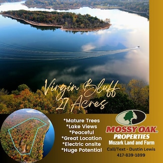 000 Y-20, Flat Creek B Township, MO 65656