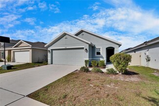 5488 Logan Cave Ave, Wimauma, FL 33598