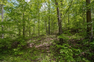0 Kinzer Rd, Paxton Township, OH 45612