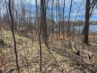 TBD Snaptail Lake Ln, Balsam Township, MN 55709
