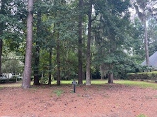 19 E Summerton Ct, Bluffton, SC 29910
