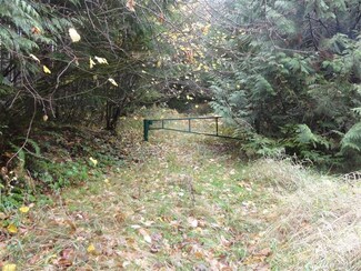 0 Carr Rd Unit 1239853, Randle, WA 98377