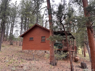 861 Happy Top Rd, Bailey, CO 80421