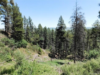 13520 Woodmoor Dr W, Larkspur, CO 80118