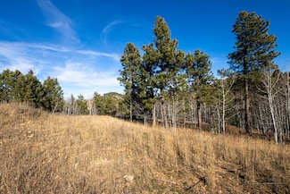 Lot 44 Noble Grand Loop, South Lawrence, SD 57785