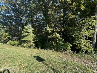 0 Hathburn Dr, Rockwood, TN 37854