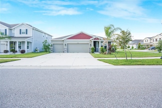 11818 Tetrafin Dr, Riverview, FL 33579
