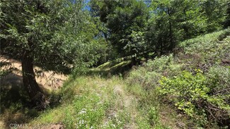 0 Mojave River Rd Unit IG25152910, Cedarpines Park, CA 92322