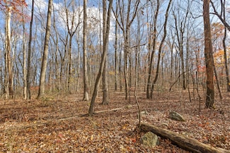 0 Shivas Crest Unit 1503867, Rising Fawn, GA 30738