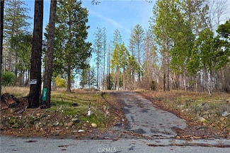 35 Sugar Pine Dr, Berry Creek, CA 95916