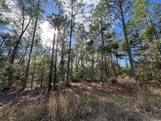 0 NE 133rd St, Fort Mc Coy, FL 32134