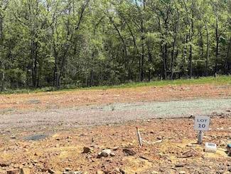 Lot 10 Madeleine Cir, Austin, AR 72007