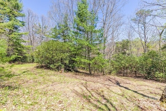 99999 Fairview Forest Dr, Fairview, NC 28730