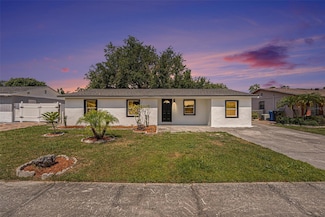 4812 El Capistrano Dr, Tampa, FL 33634