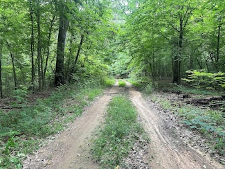 0 Gessler Rd, Benton, MS 39039