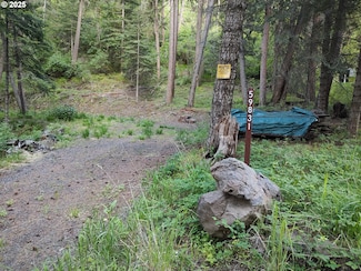59831 River Canyon Rd, Imnaha, OR 97842
