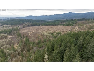 0 NW Panther Creek Rd Unit 500851300, Carlton, OR 97111