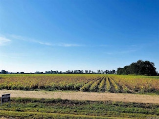 39.10 Acres W Main St Unit 39.10 Acres West Mai, Trumann, AR 72472