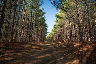 0 Mayfield Divide Rd, Centerville, TN 37033