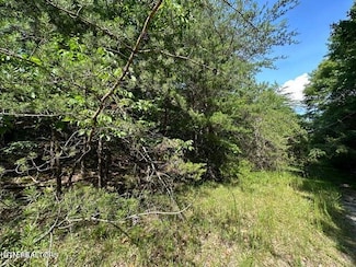 117 Greenwell Rd, Crossville, TN 38558
