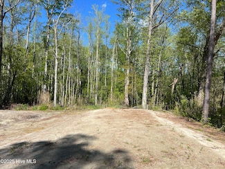 266 Bingham Rd, South Mills, NC 27976