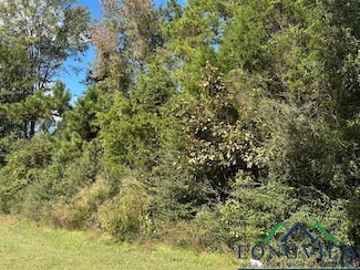 Tbd County Road 4682, Carthage, TX 75633