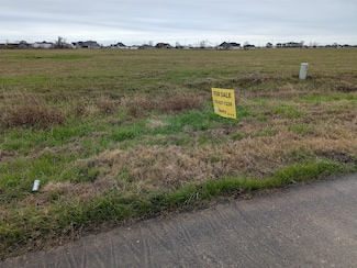 414 Brahman Trail, Angleton, TX 77515