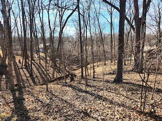 Lot 1673 Lakeside Ct, Roberts Township, IL 61375