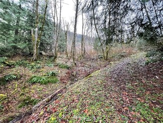 37 XXX E Lake Walker Dr SE, Enumclaw, WA 98022