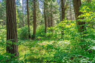 0 Tbd Starkes Grade Rd, Pollock Pines, CA 95726
