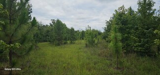 0 Lower Lumpkin Rd, Georgetown, GA 39854