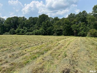 000 Williams Ridge Ln, Cobden, IL 62920