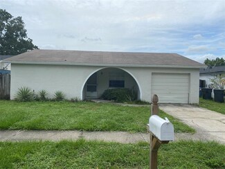 1004 Bridlewood Way, Brandon, FL 33511