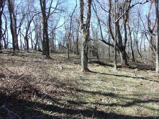 TBD Spring Valley Rd, Elk Creek, VA 24326