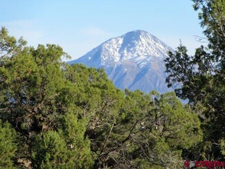 0 Road X Unit 743331, Pleasant View, CO 81331